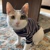 joesclothes527